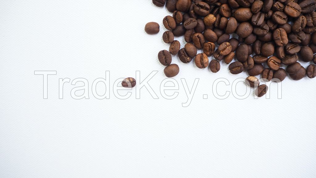 Arabica Coffee Beans 