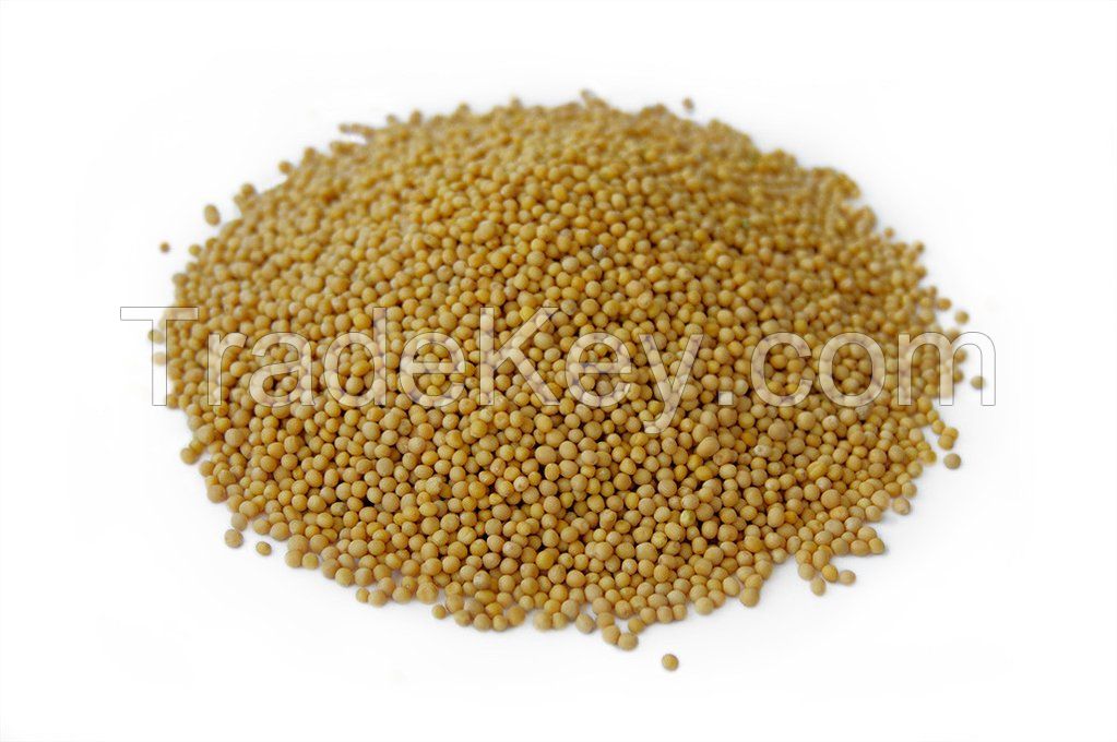 Mustard seeds