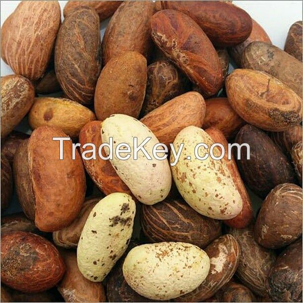 Fresh Bitter Kolar Nuts