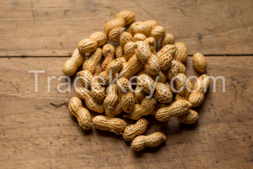 Peanuts