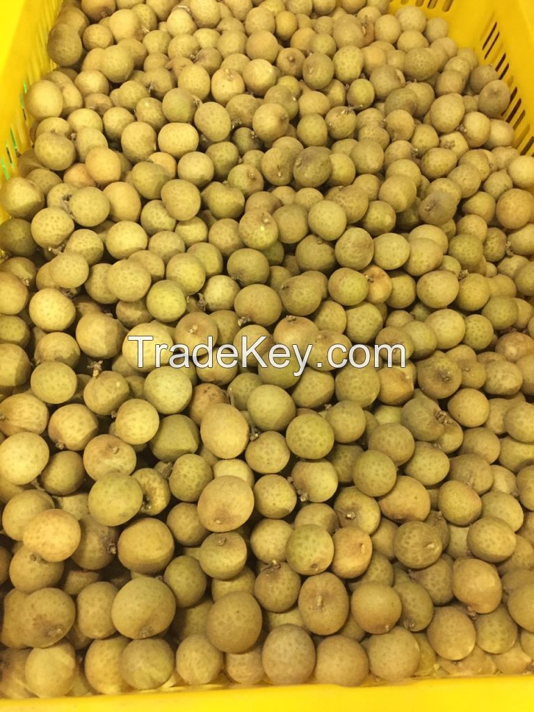 Vietnam fresh Longan