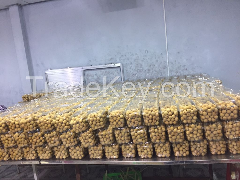 Vietnam fresh Longan