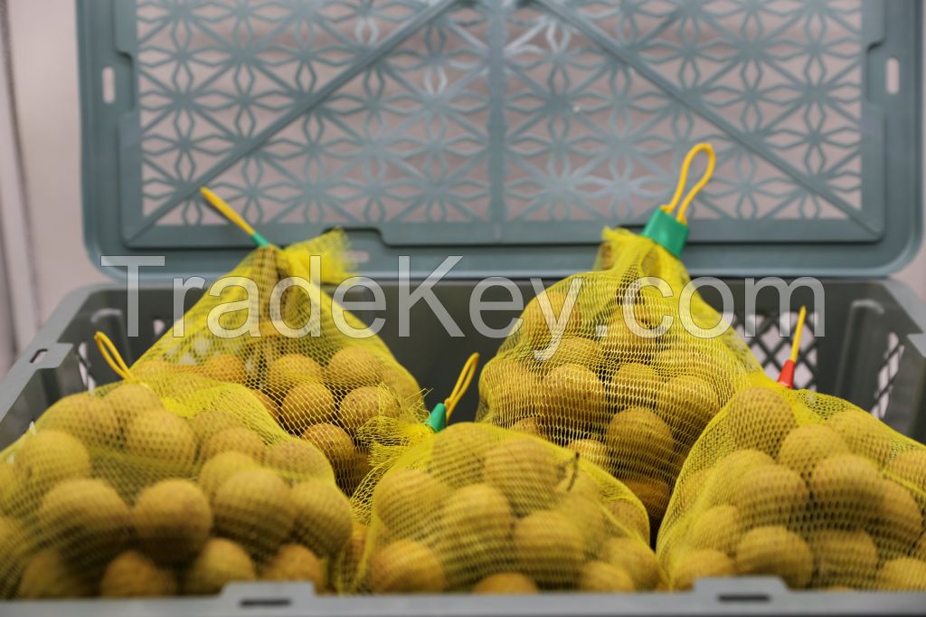 Fresh Vietnam Longan