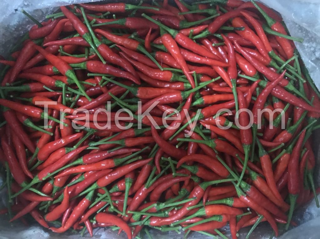 Hot Sales High quality Fresh Chilli Vietnam