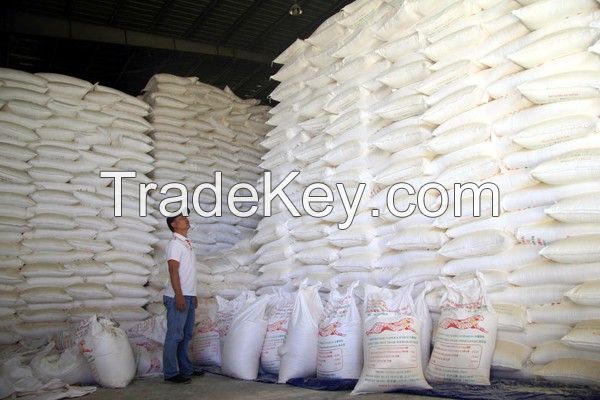 High Quality Food Grade Tapioca Starch Vietnam