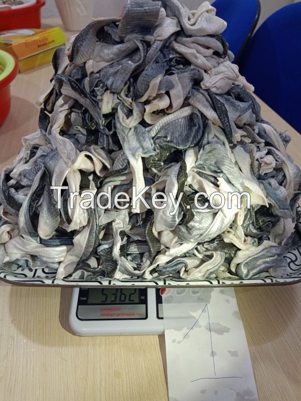 FROZEN PANGASIUS/BASA SKIN