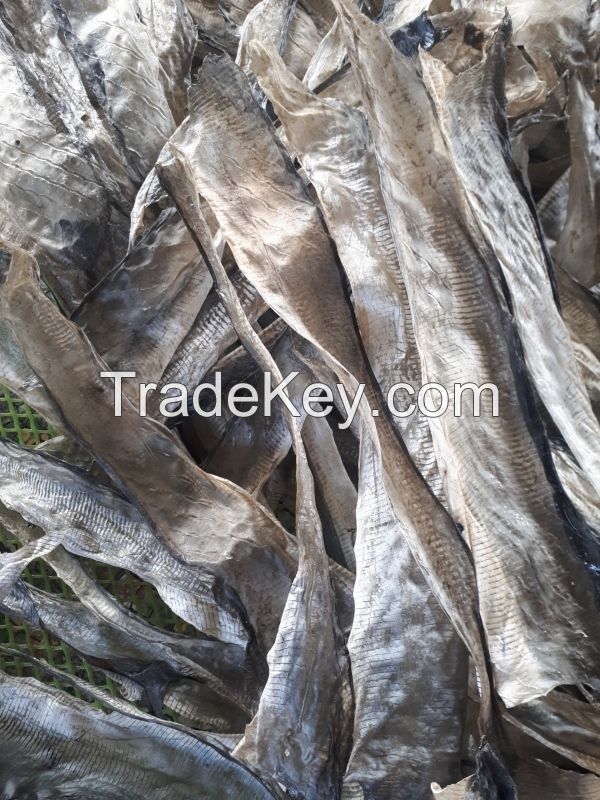 DRIED PANGASIUS/BASA SKIN