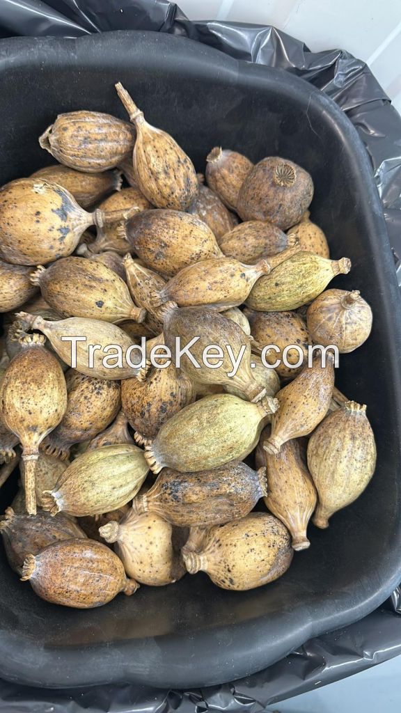 Dried Poppy Pods dried poppy pods usa, poppy pods for sale, Poppy pods online, Dry poppy heads 1kg price, Poppy pods dried,