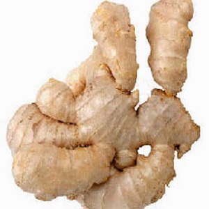 Fresh Ginger