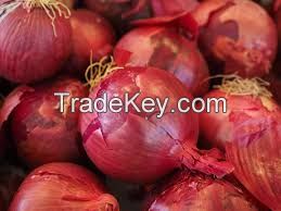 Fresh Red Onion