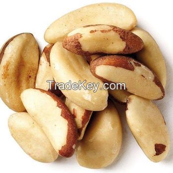 Quality Brazil Nuts 