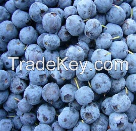 Best Price Fresh Blueberry 