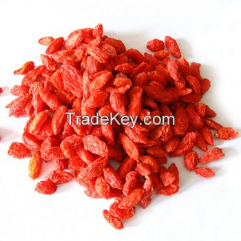 Dried Goji berries / Wolfberries 