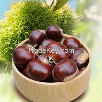 Chestnuts