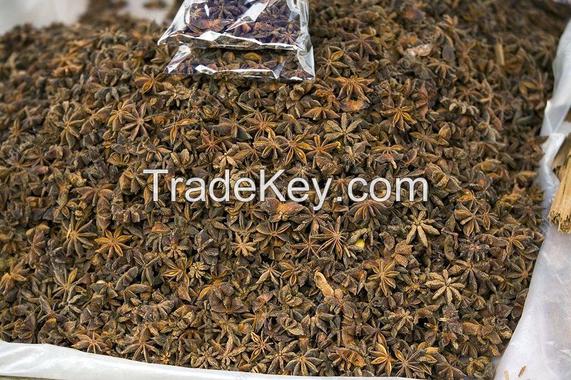 Star Anise With Competetive Price and High Quality