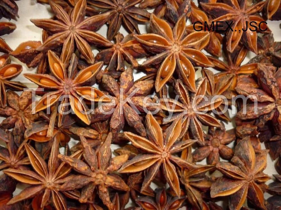 Star Anise With Competetive Price and High Quality