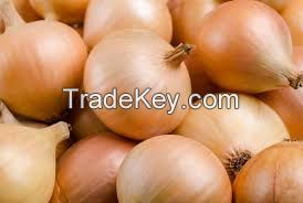 Red Onions/ White Onion