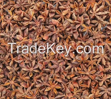 An abundance of excellent quality dried and raw fall star anise from Vietnam is now in stock