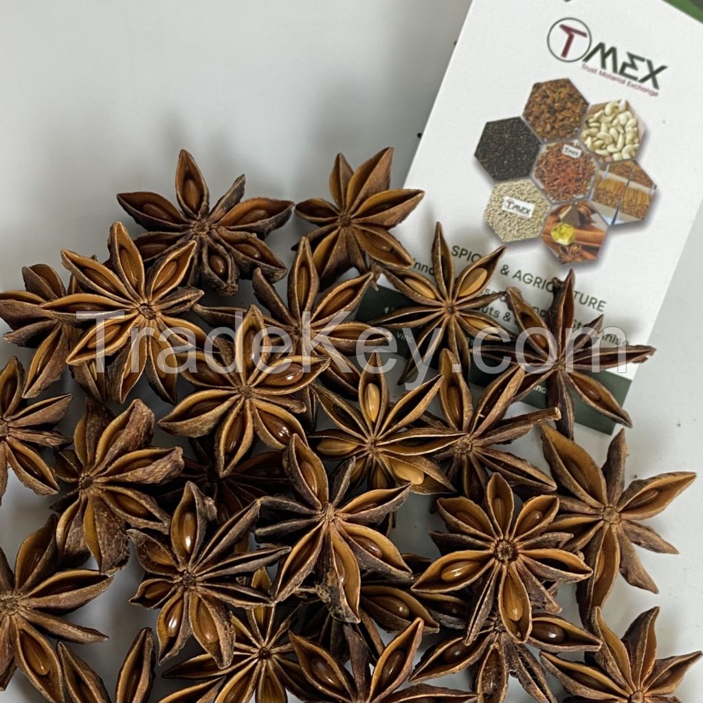 dried star anise hot selling product raw material lang son aniseed viet nam herbs and spicy high quality