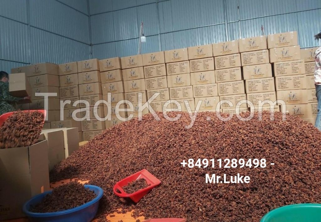 vietnam star anise autumn new crop 2023 dried product hot taste