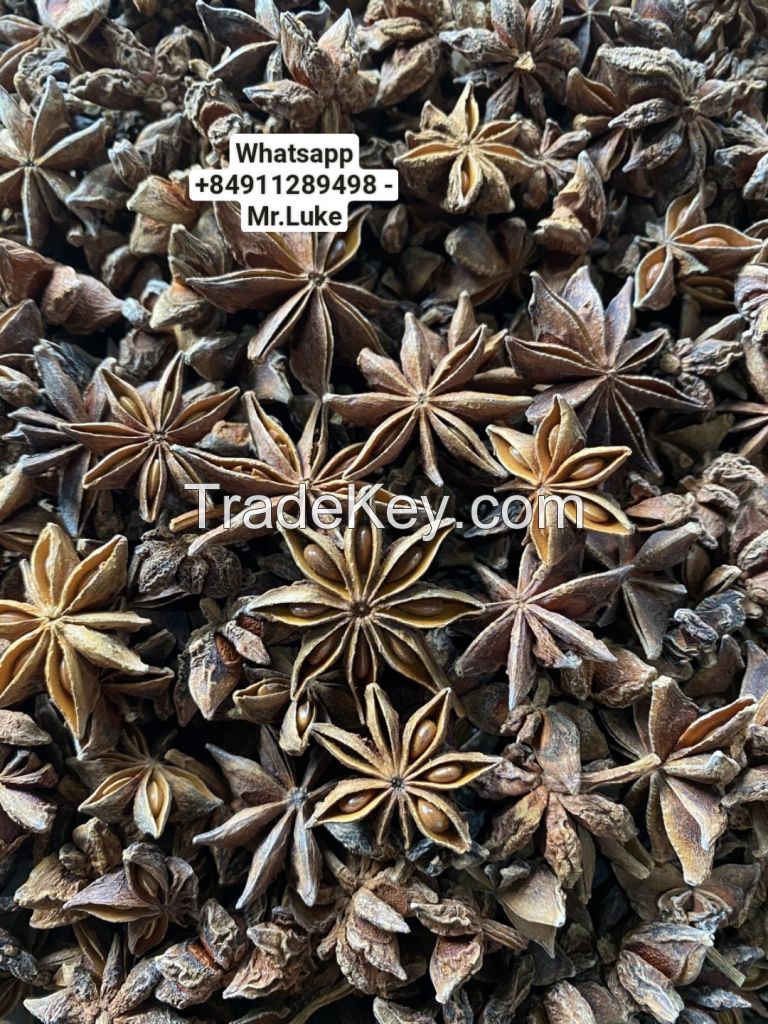 vietnam star anise autumn new crop 2023 dried product hot taste