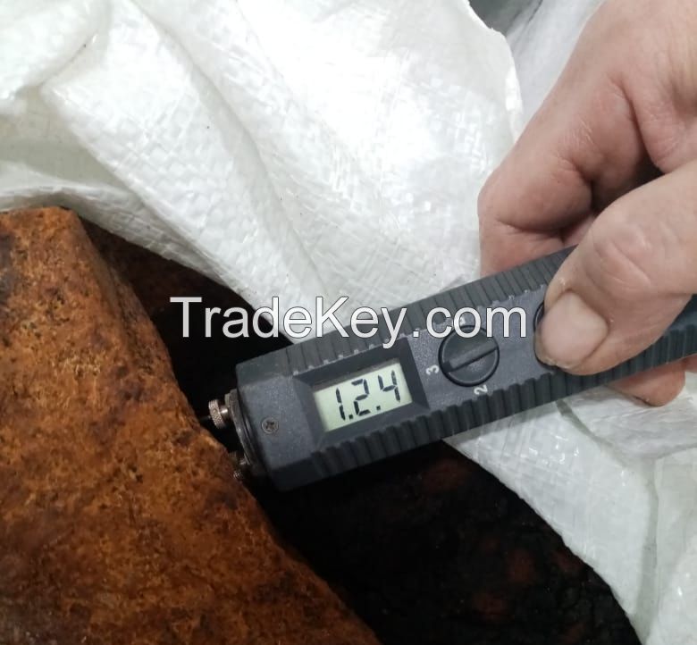 Chaga