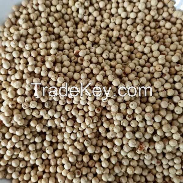 Muntok White Pepper Grade A (Handpicked)