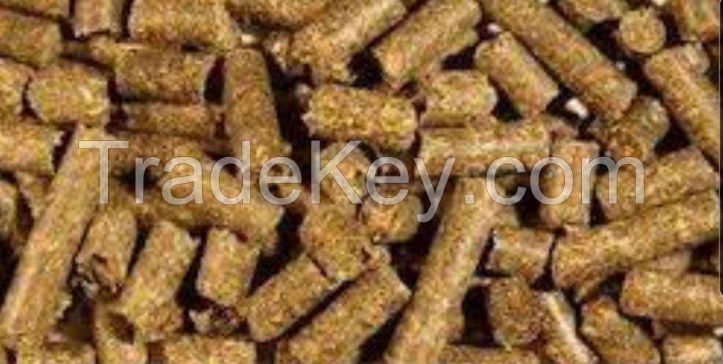 cattle feed