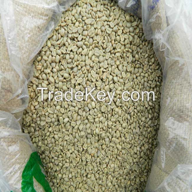 High Quality Green Coffee Beans