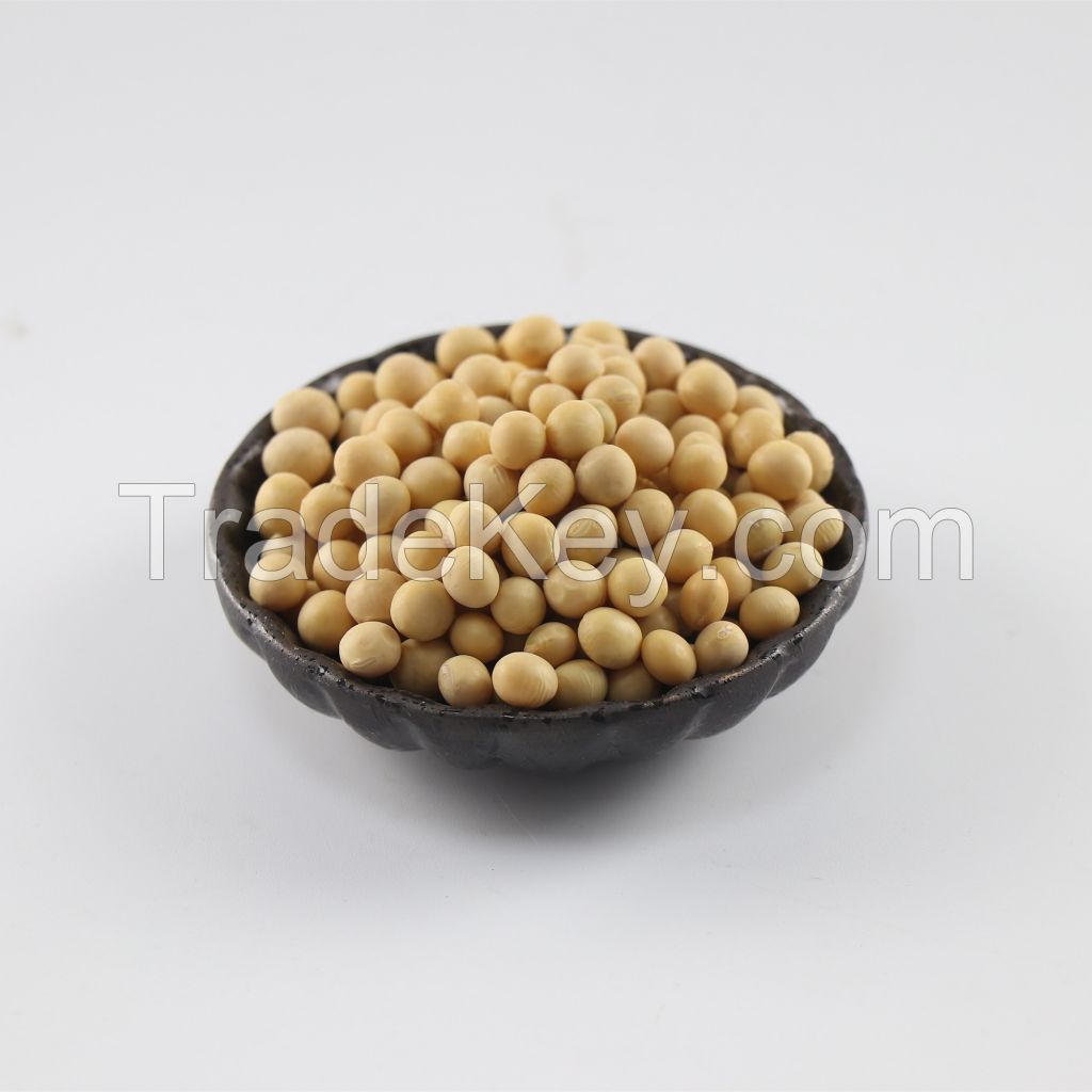 Soybeans From Malaysia with Best Quality and Best Price Yellow Bean