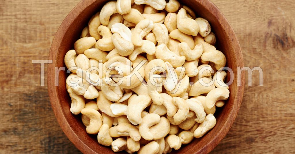 Cashew Nut