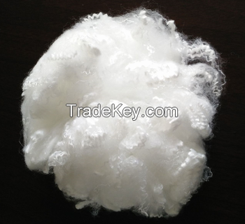 Polyester Fibers