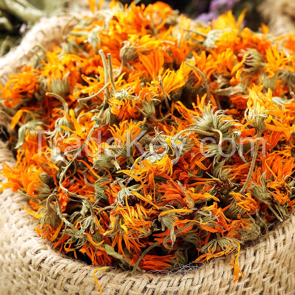 Calendula Flower