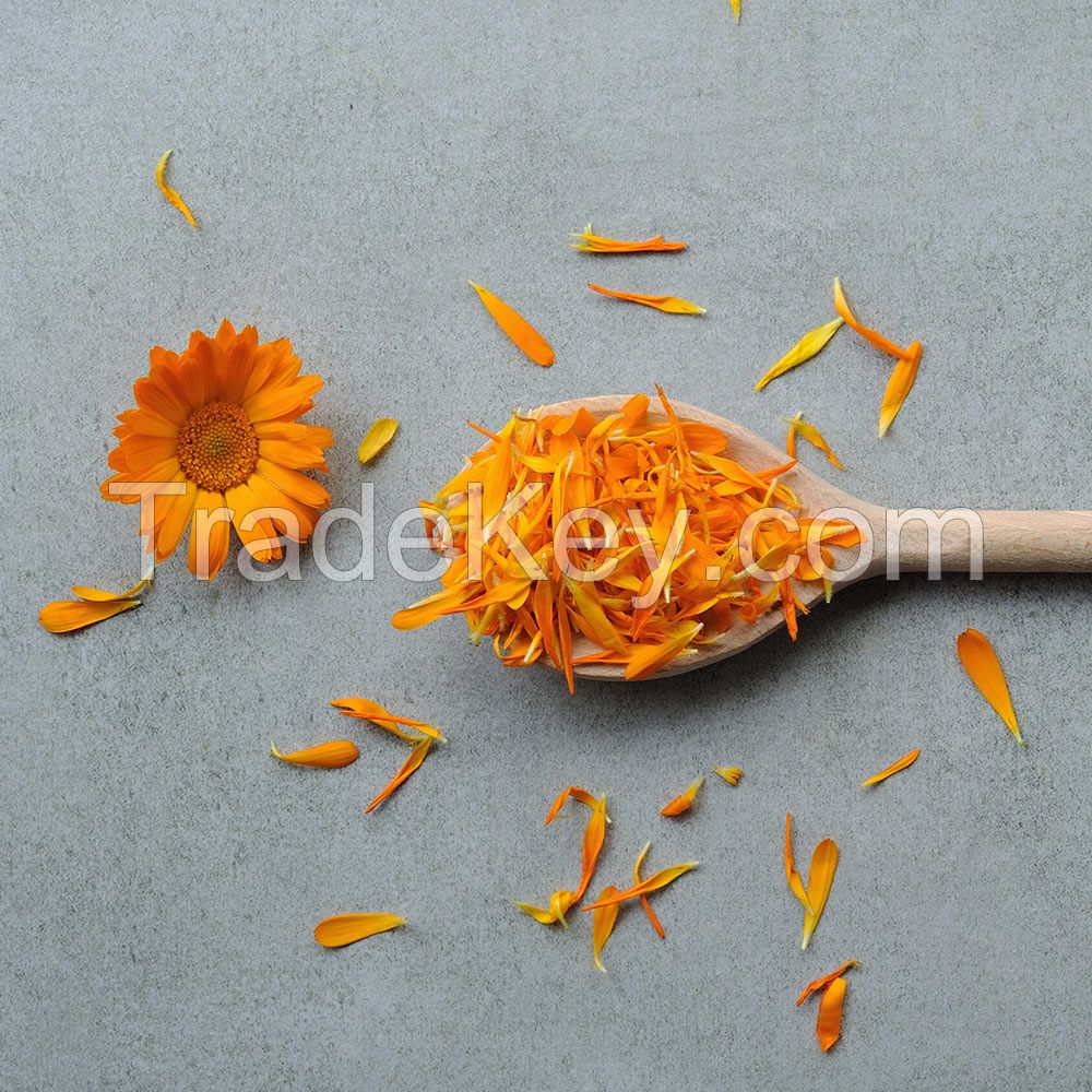 Calendula Petal