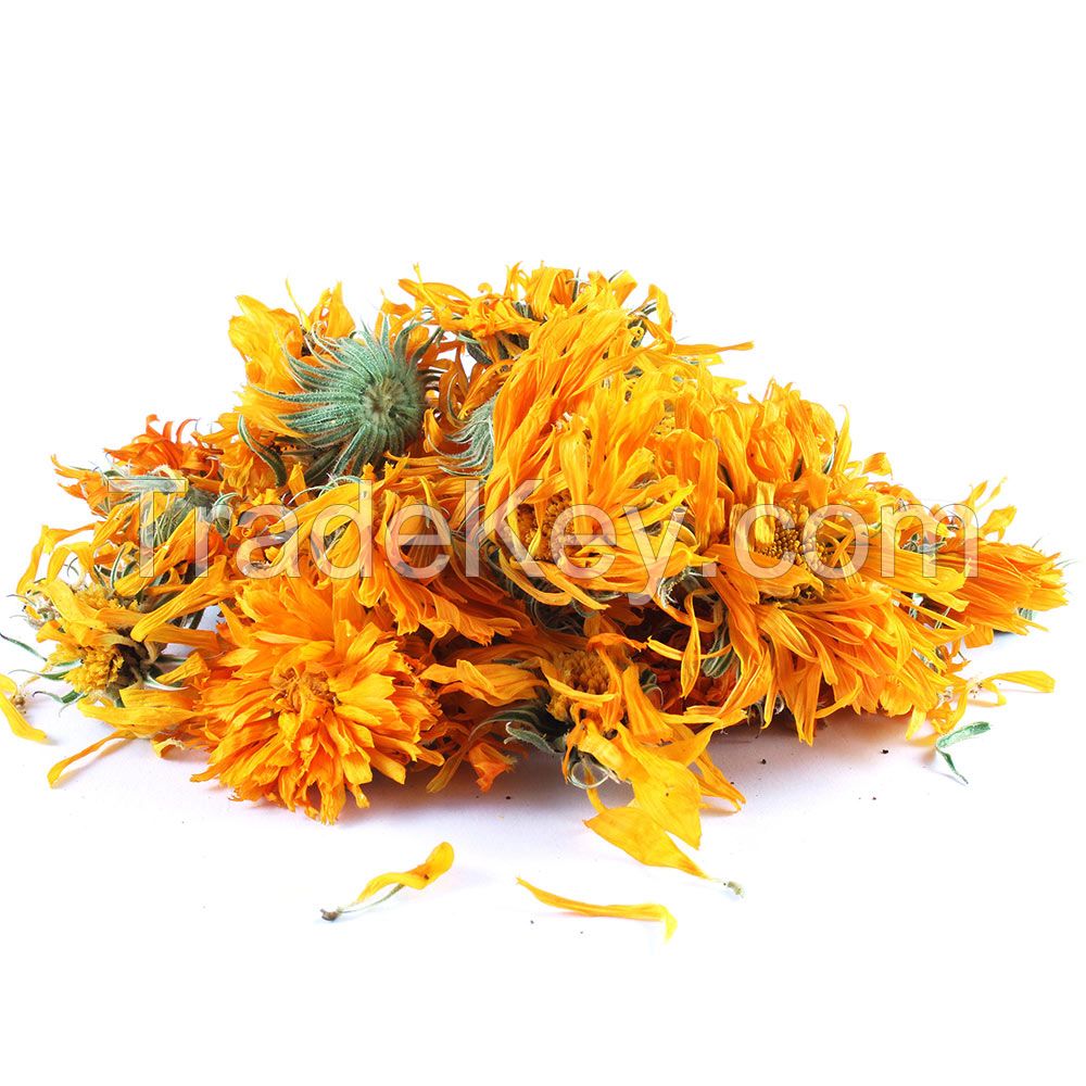 Calendula Flower