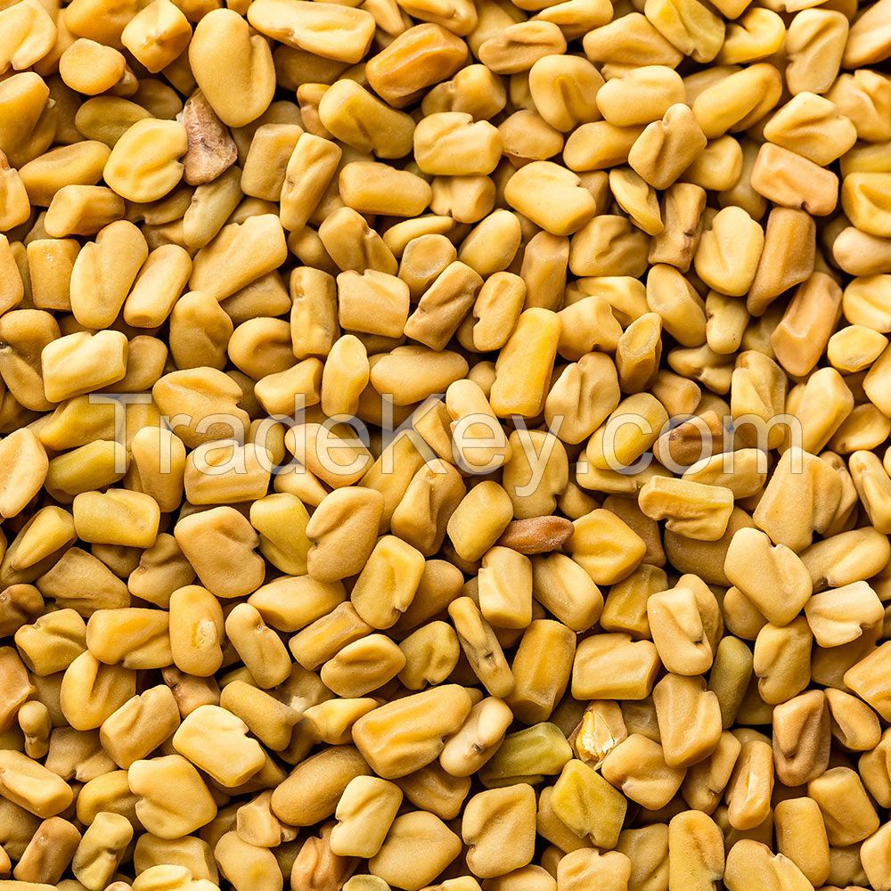 Fenugreek Seeds