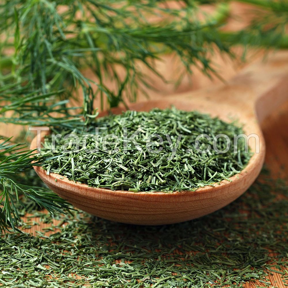 Dill Leaves