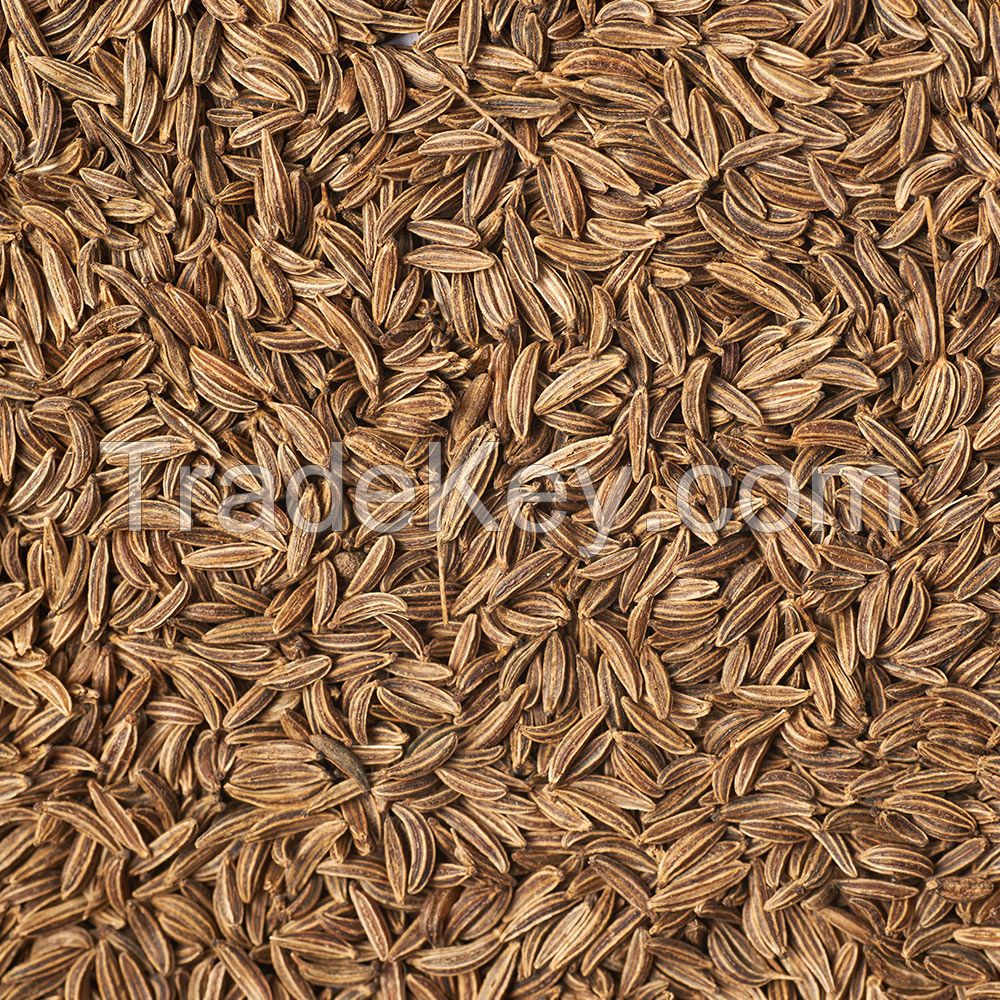 Cumin Seeds