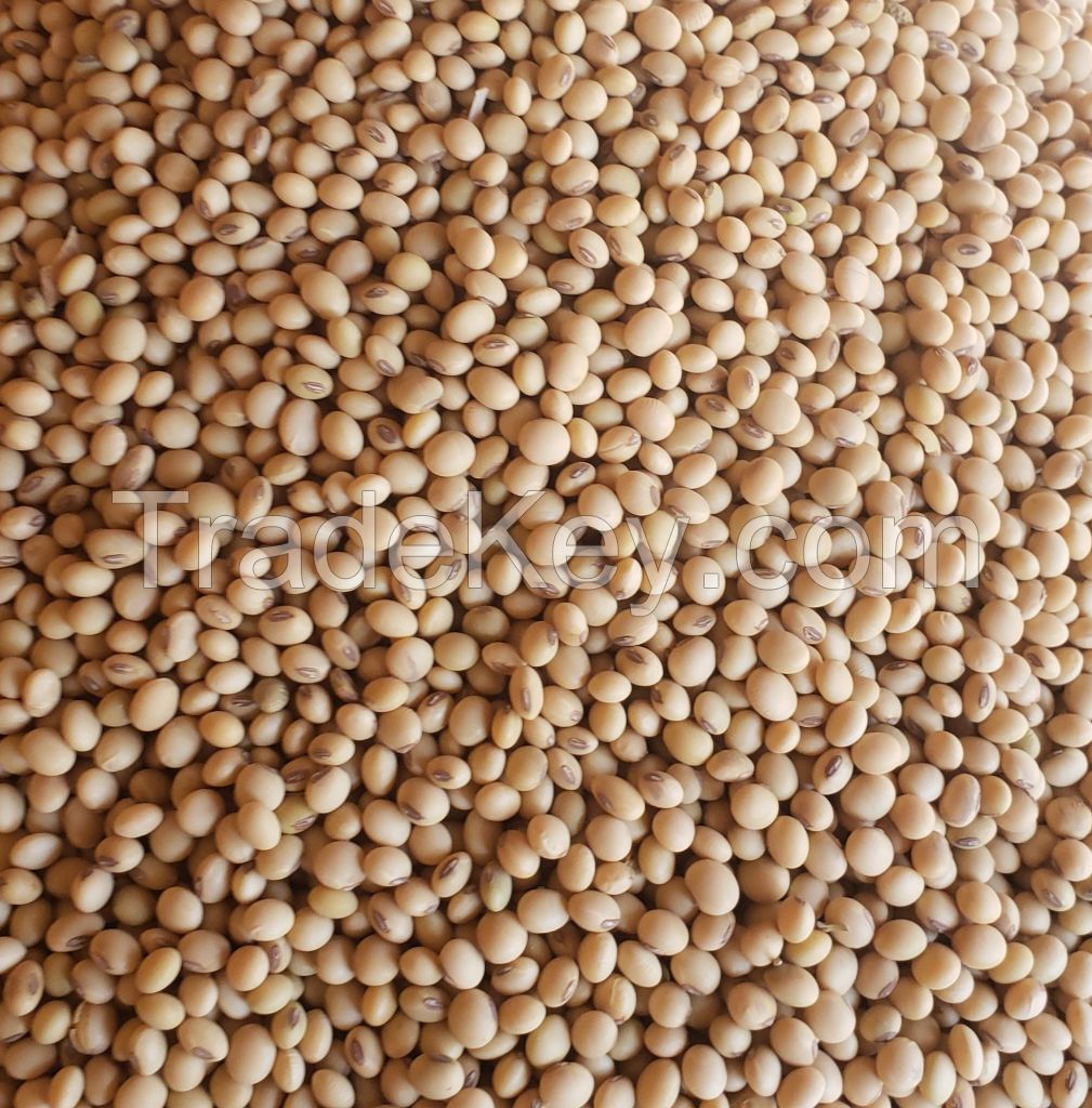 Soya beans