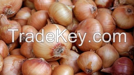 Red Onion