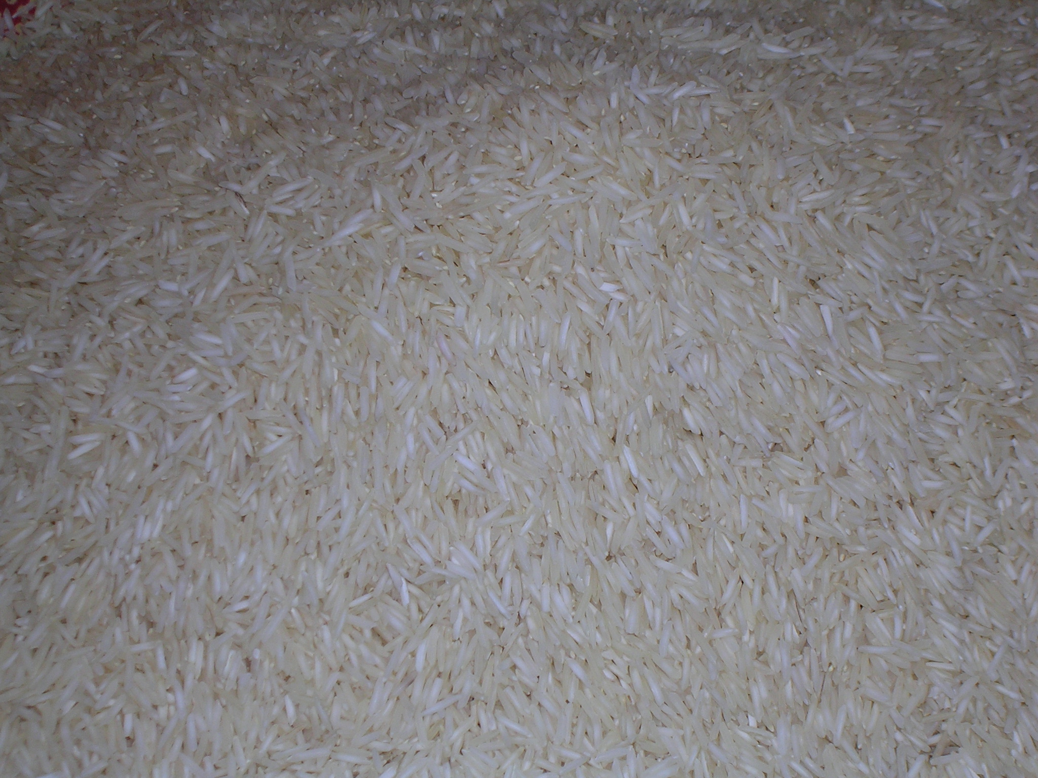 RICE SUPPLIER| PARBOILED RICE IMPORTERS | BASMATI RICE EXPORTER| KERNAL RICE WHOLESALER| WHITE RICE MANUFACTURER| LONG GRAIN TRADER| BROKEN RICE BUYER | IMPORT BASMATI RICE| BUY KERNAL RICE| WHOLESALE WHITE RICE| LOW PRICE LONG GRAIN