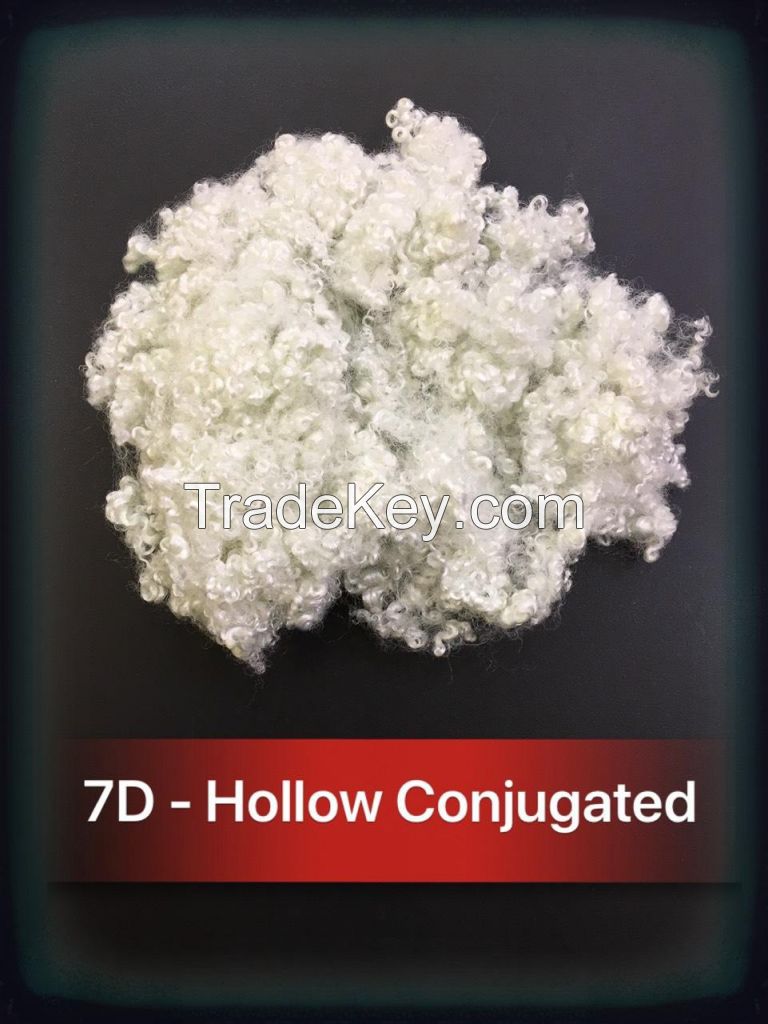 Hollow Conjugate Siliconzed ( 15Dx64HCS )