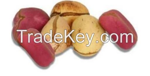 Kola Nut