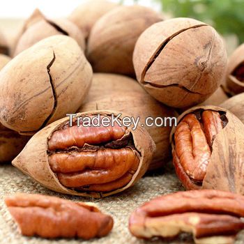 Pecan Nuts