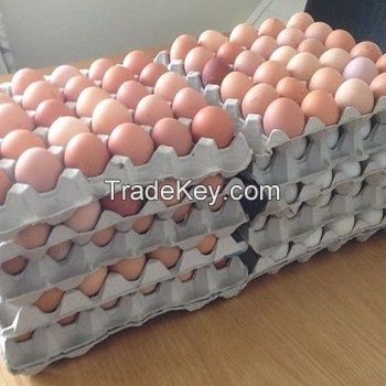 Fresh White and brown eggs