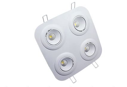 COB LED Down Light 4 head 20W