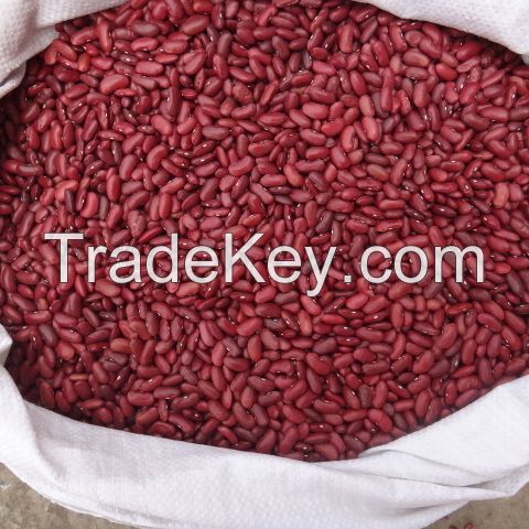 Red Kidney Beans