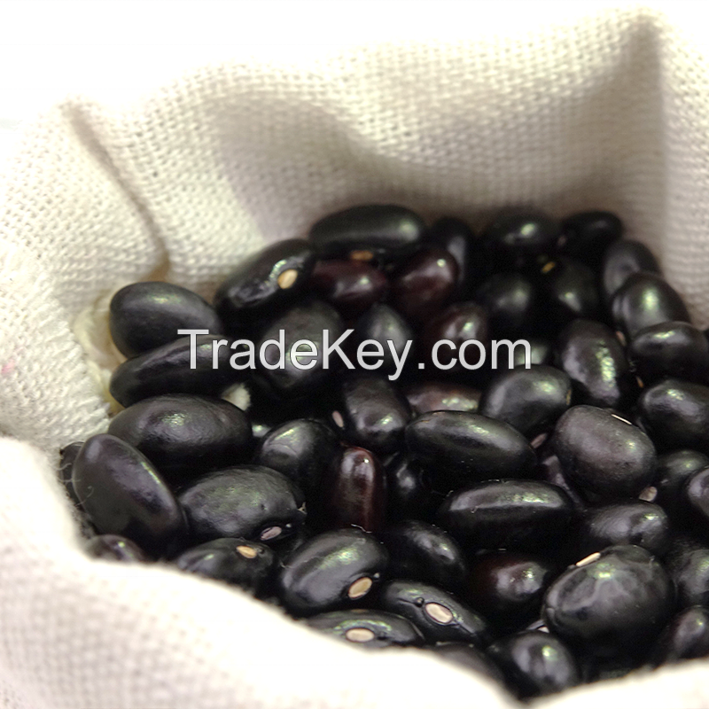  Premium Quality black eyed matpe kidney beans for Sale