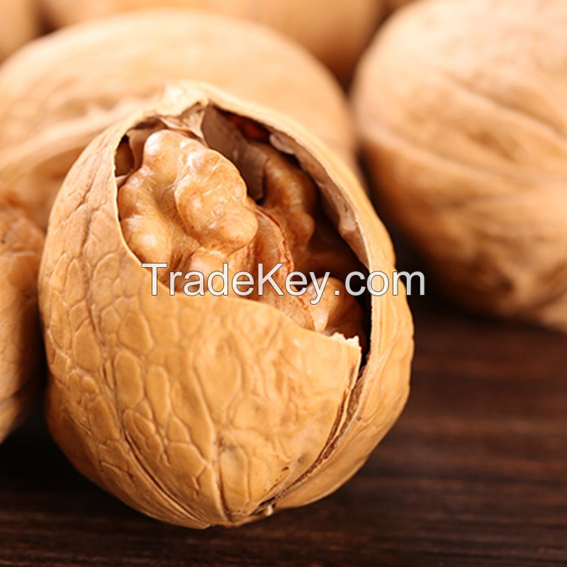 Raw Walnut Organic Walnuts Wholesale Price Walnuts Kernels