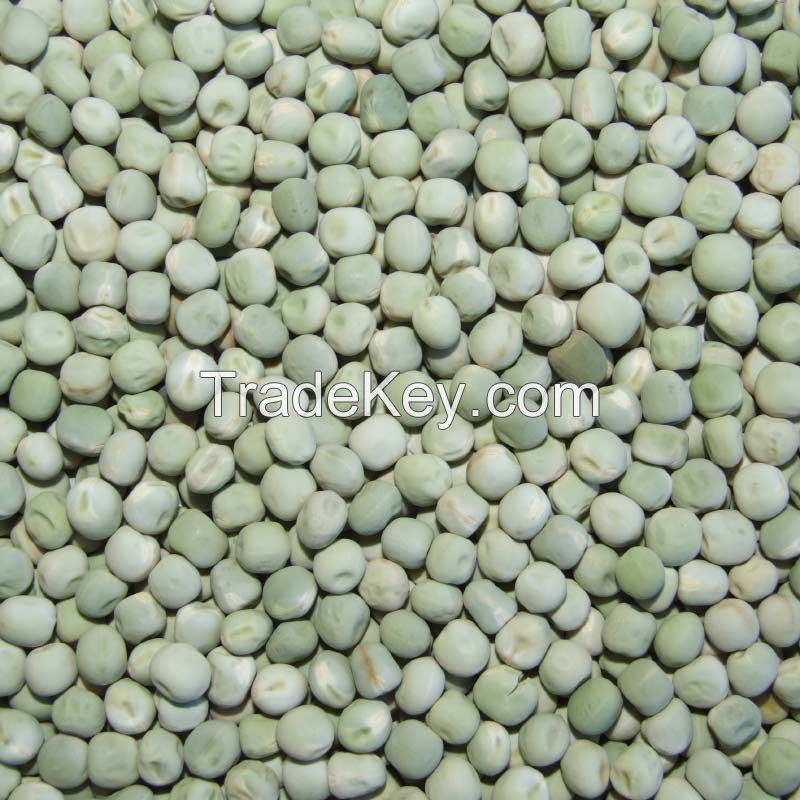  organic dry Green Peas